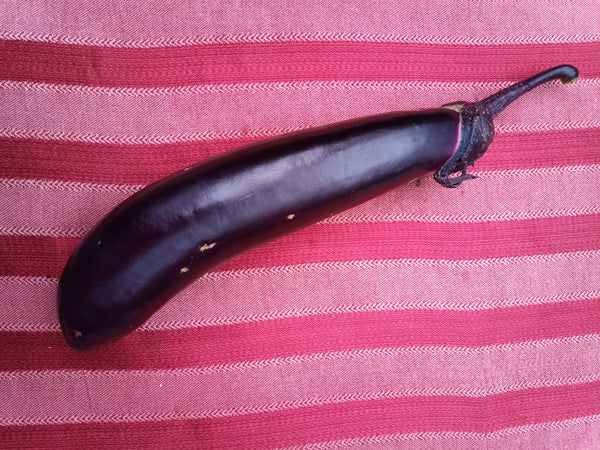 Japanese Long Eggplant 1.25 - 1.5 lbs.