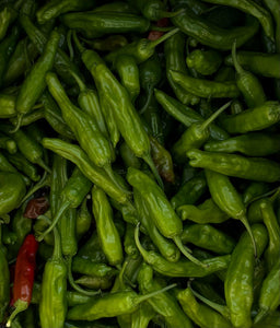 A Guide to Growth: Peppers for Beginner Gardeners