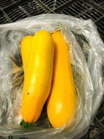 Yellow Zucchini 1 - 1.25 lbs.