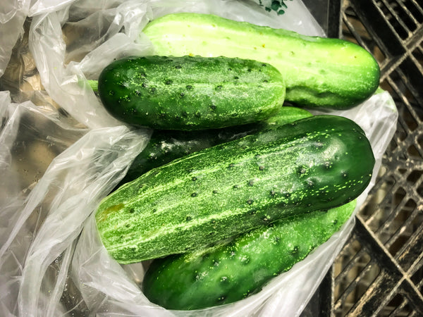 Pickling Cucumbers  1 - 1.25 lbs.