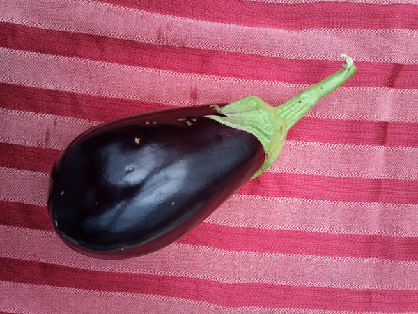 Italian Eggplant 1.25 - 1.5 lbs.