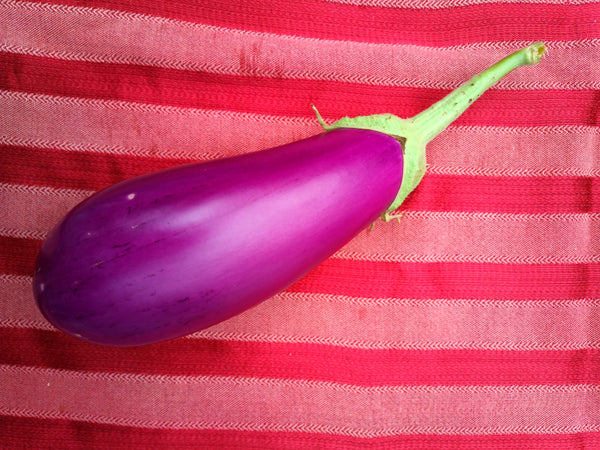 Dancer Eggplant 1.25 - 1.5 lbs.