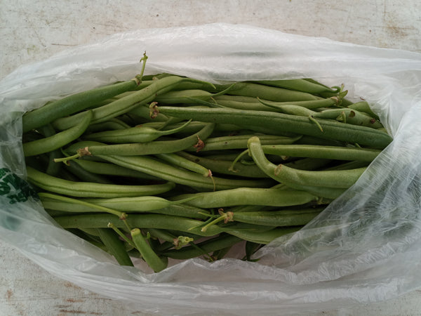 Green Beans 1 lbs.