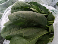 Spinach 0.5 lbs