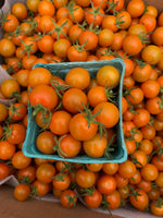 Sungold Cherry Tomatoes Pint