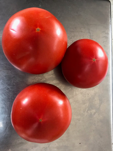 Slicing Tomatoes 1.25 - 1.4 lbs